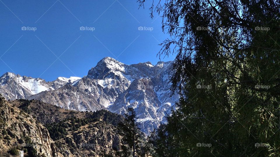 Снежные горы