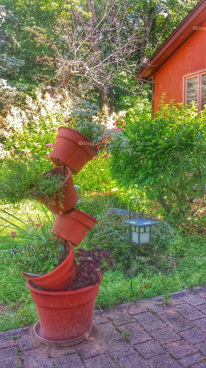 Flower Pot Stand. Place we buy fresh mulberries