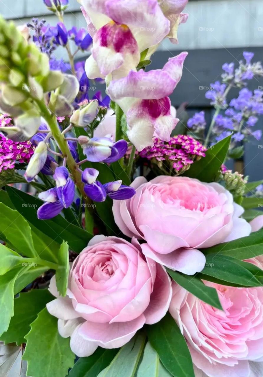 flowers in bloom this june