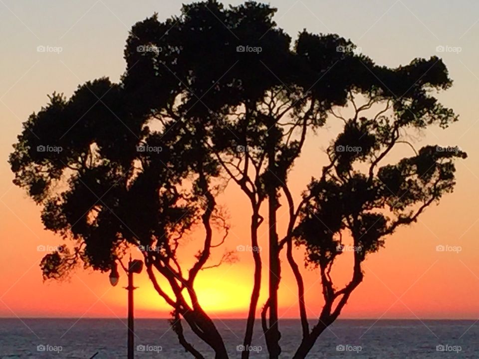 Another Gorgeous Redondo Sunset