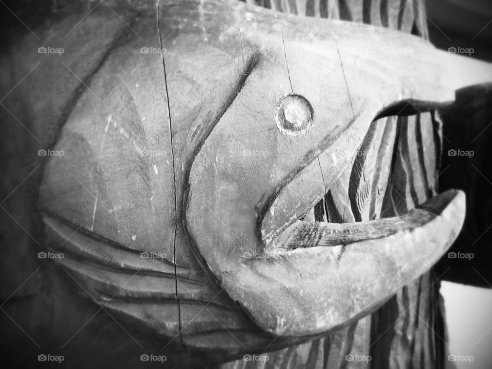 salmon carving