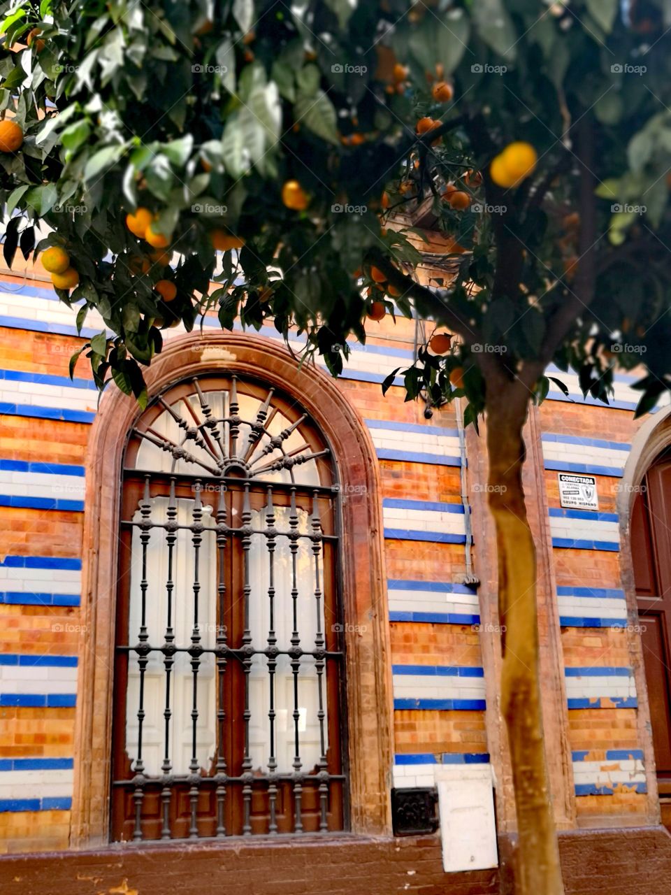 Spanish window and mandarins