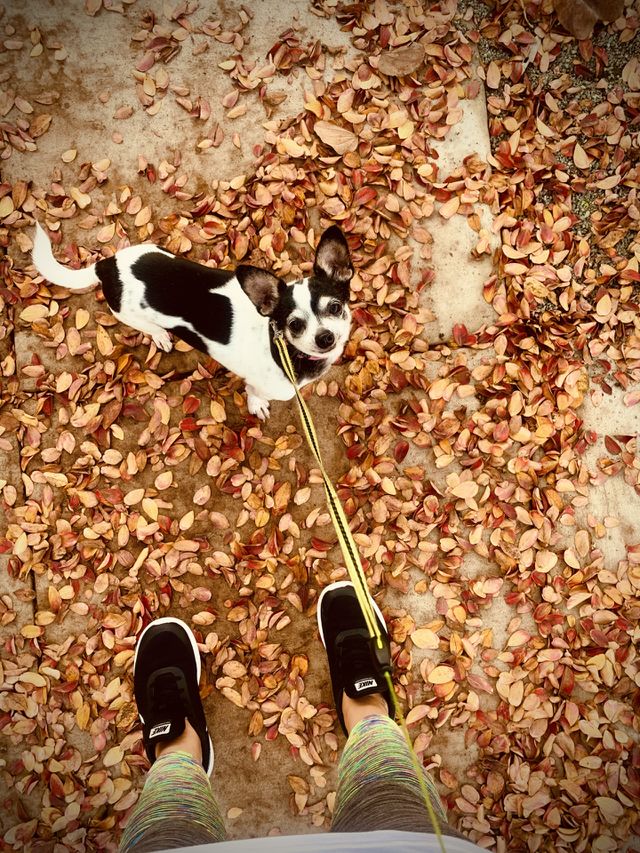 Fall feelings 