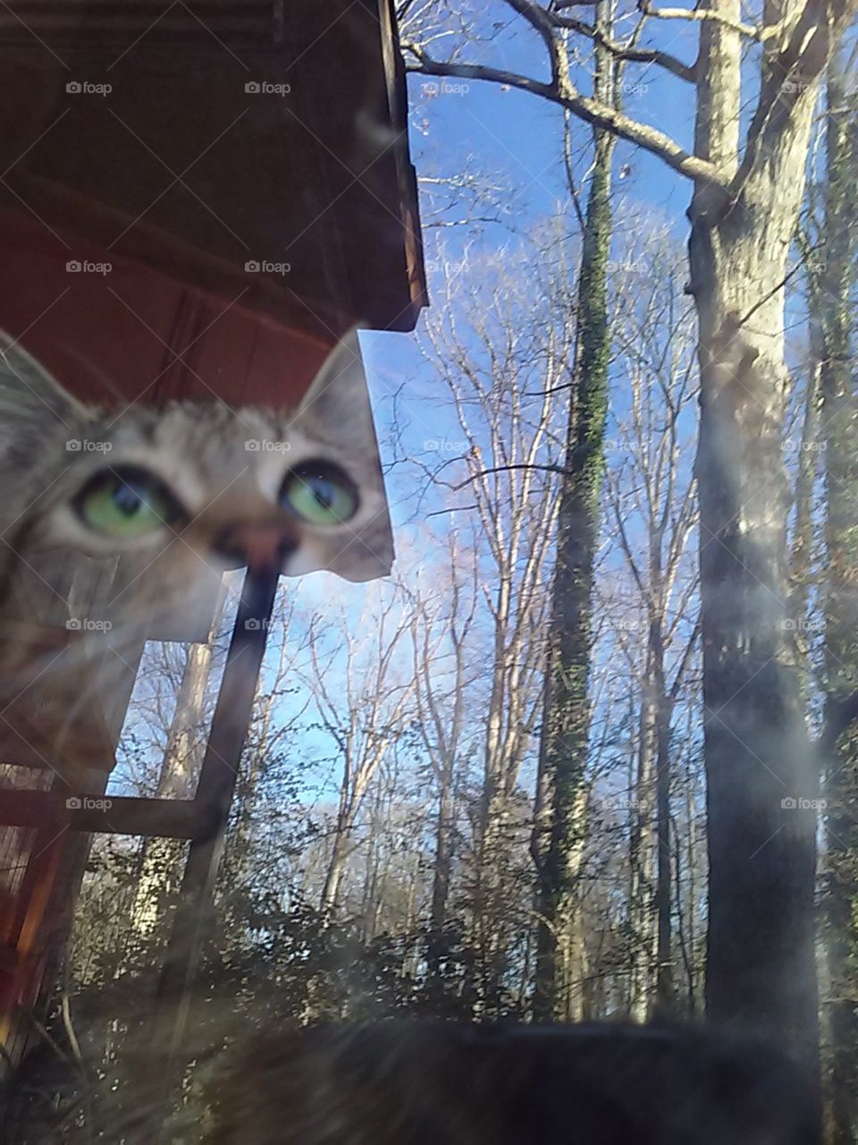 window looking from outside to inside