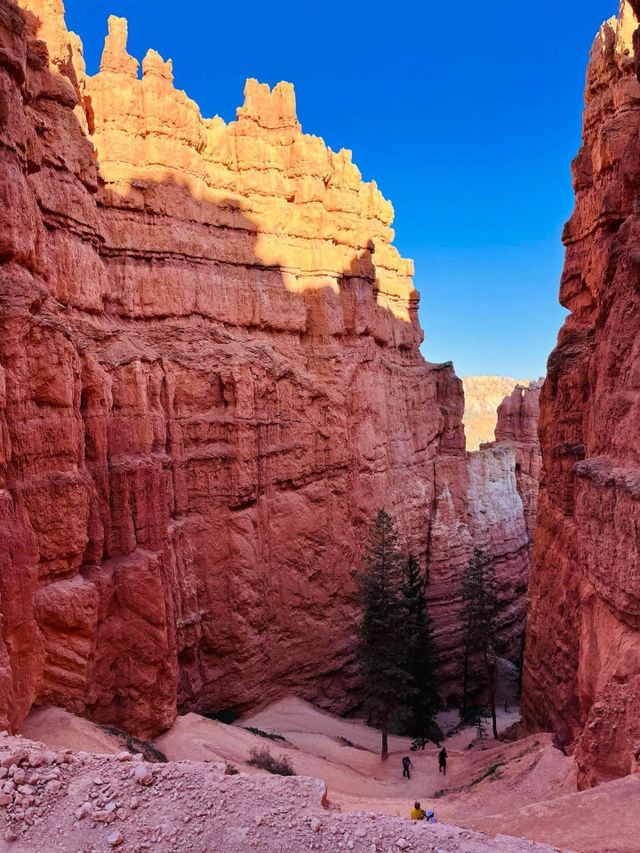 Come take a hike with me and you can see the beautiful view my camera is taking you into gorgeous 