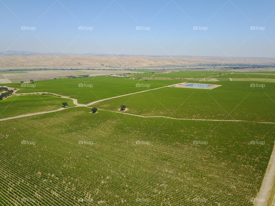 Landscape, No Person, Cropland, Agriculture, Grass