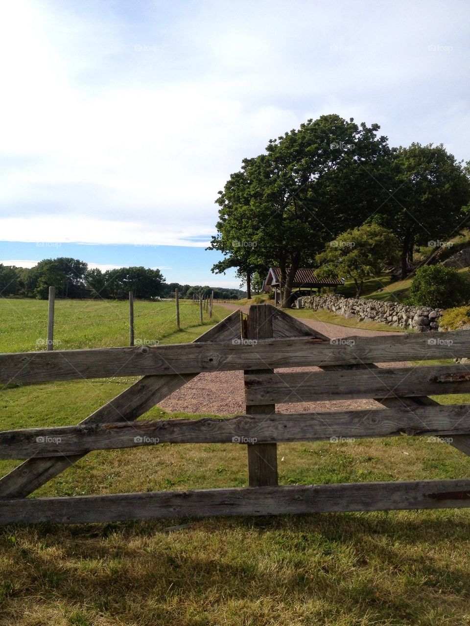 Close-up of wooden fence