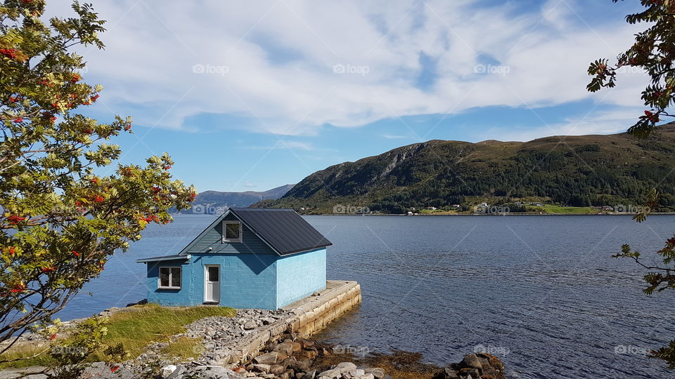 A blue boat shed with a flowered tree on the fjords of Norway.