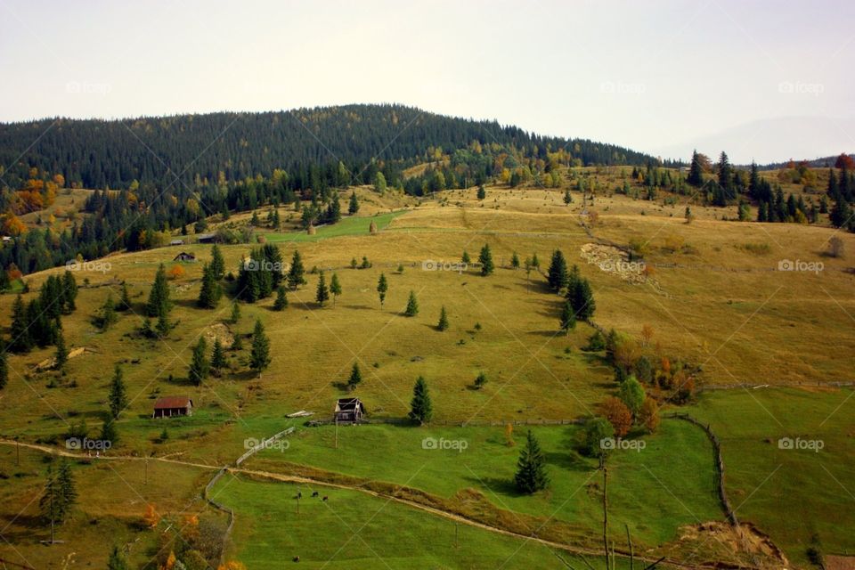 Landscape, No Person, Tree, Outdoors, Nature