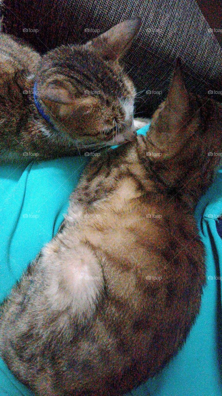 both on my tummy 😃😃😃