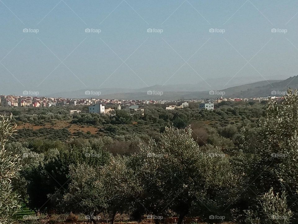 Population between the nature