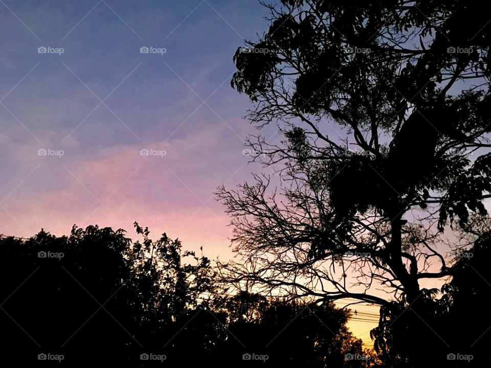 🌅Desperte, #Jundiaí.
Que a #SextaFeira possa valer a pena!
🍃
#sol #sun #sky #céu #photo #nature #morning #alvorada #natureza #horizonte #fotografia #pictureoftheday #paisagem #inspiração #amanhecer #mobgraphy #mobgrafia 