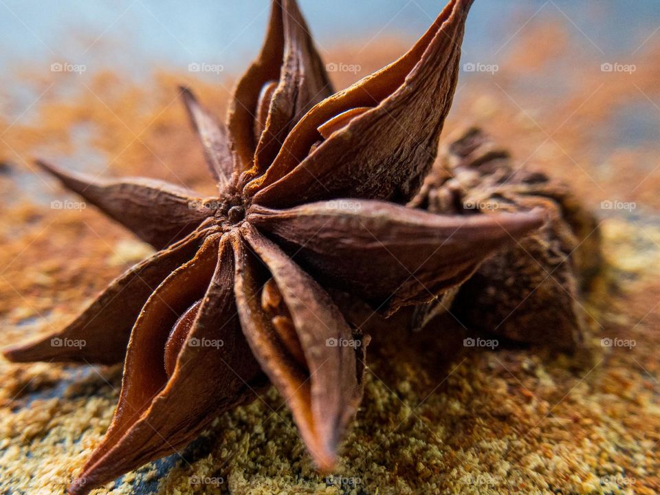 Star anise pod on top of a dusting of mixed spices