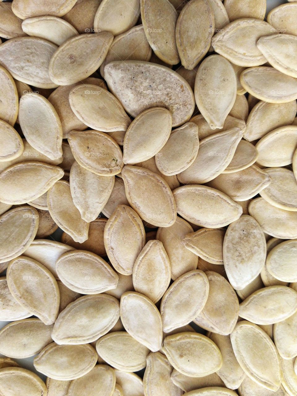 pumpkin seeds