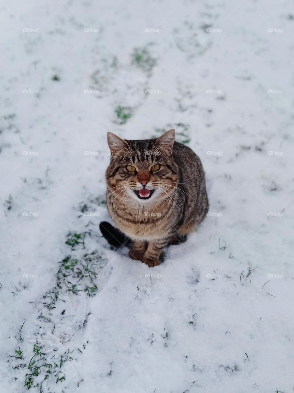 emotions series anger