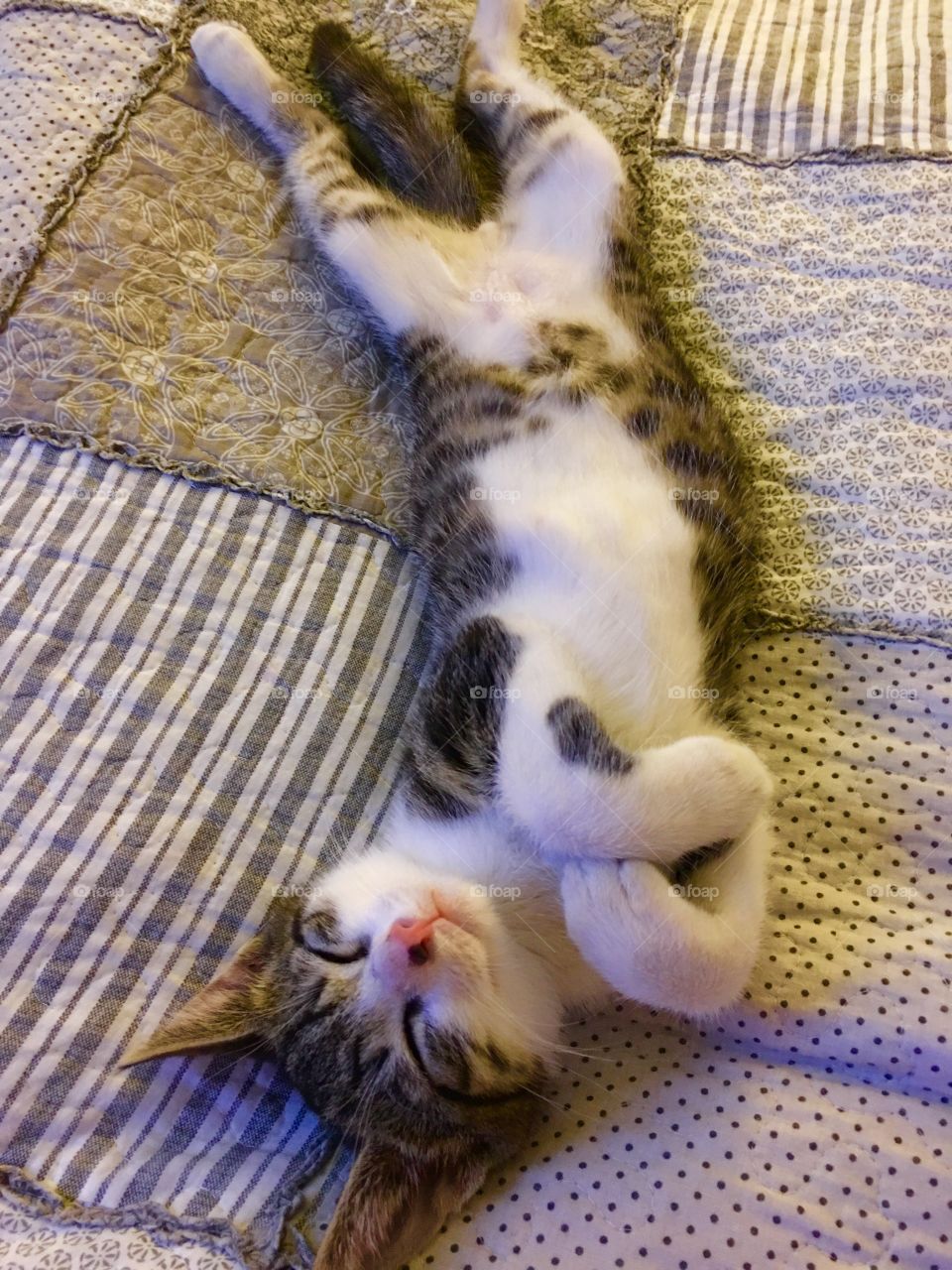 Captured with iPhone 6s Plus 