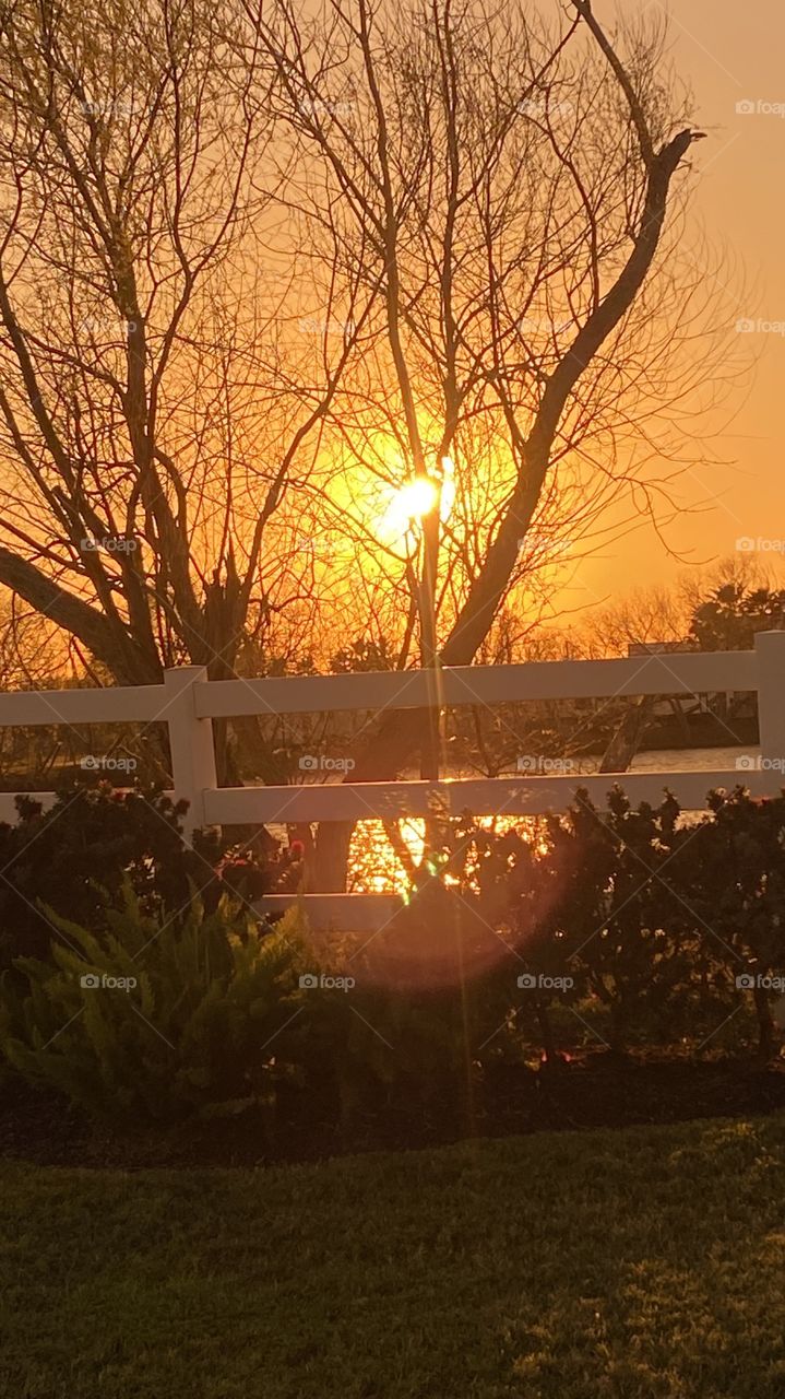 Great evening for Sunset Sun still high with Yellow Highlights around Center. Evening Backlit glow dominate across the sky. 