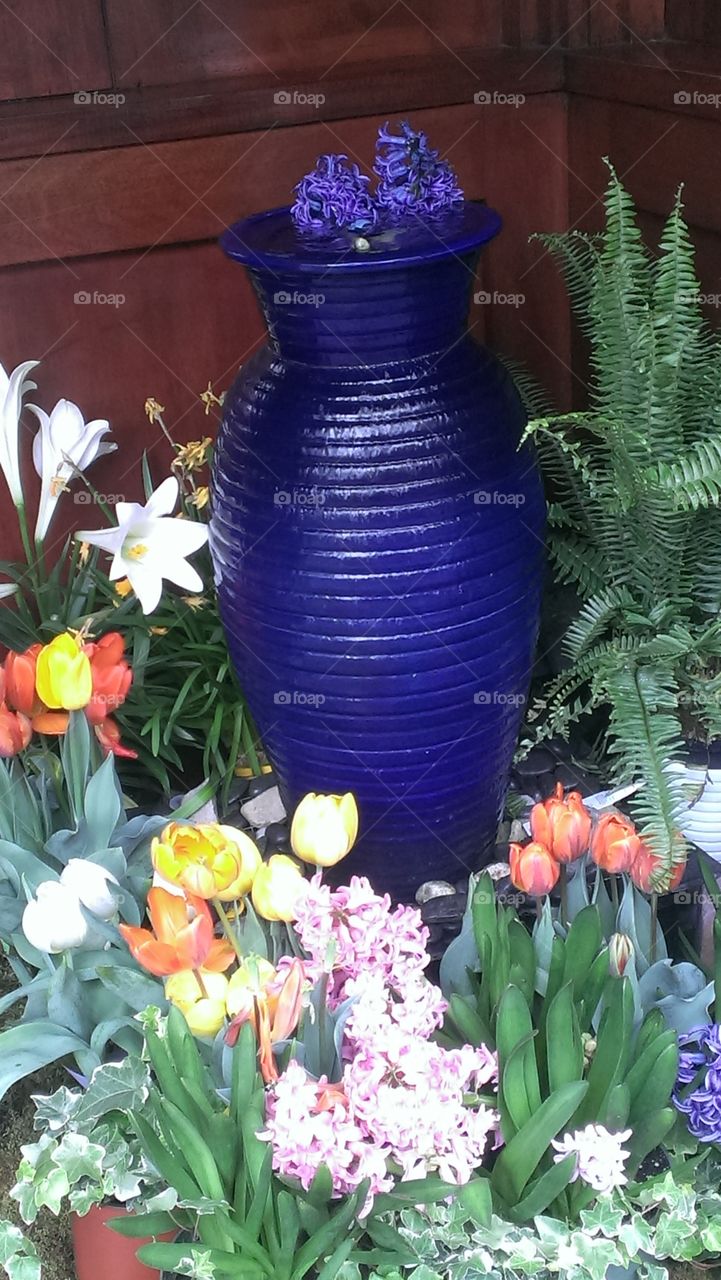 Water Fountain & Spring Flowers