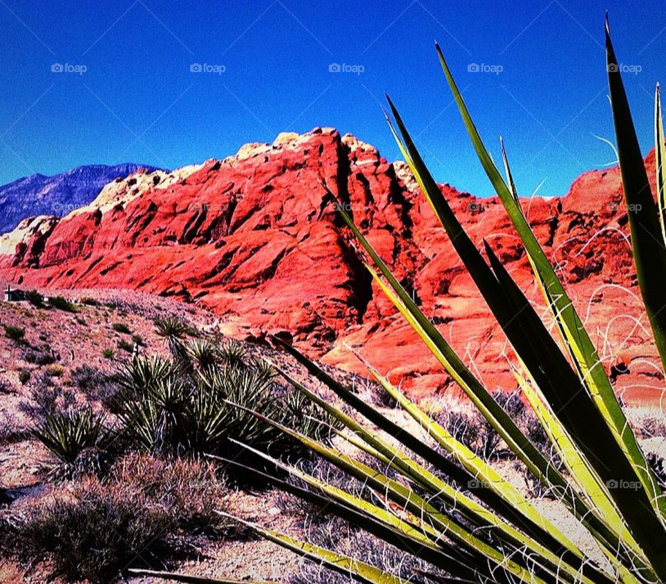 Red Rock Canyon