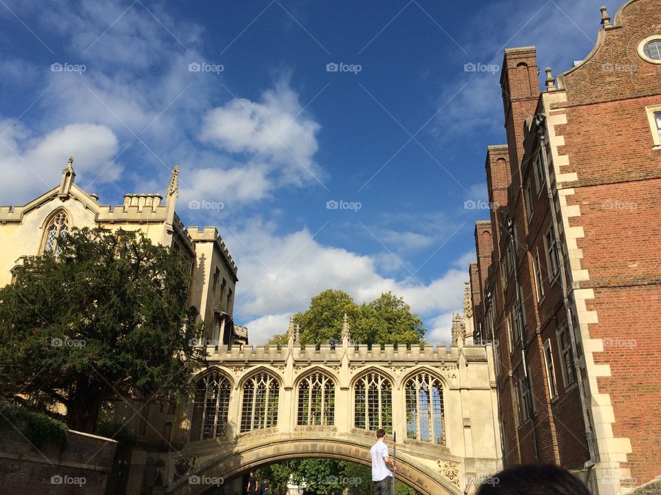 Looking up from the canal 