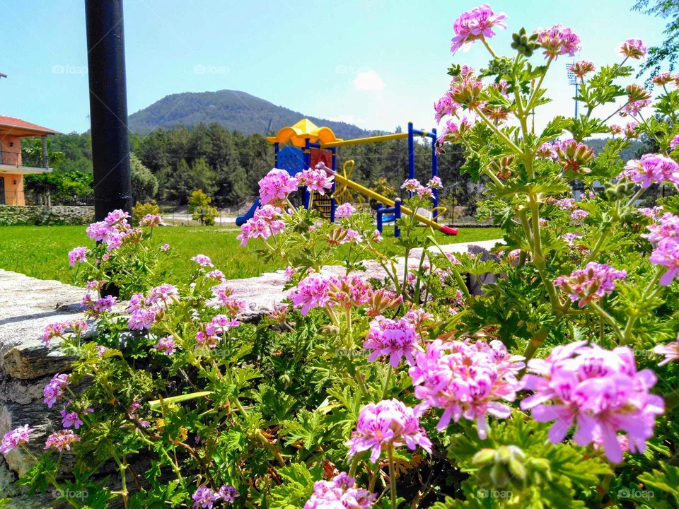 Kinder garden