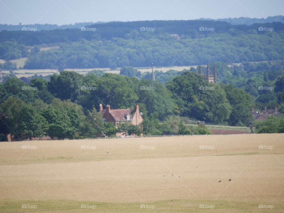 Farm. Crops England 