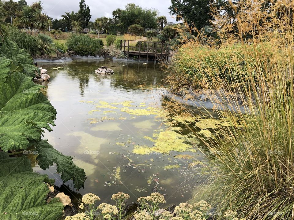 Tor Gardens in Torquay has a multitude of attractions, one of them is beautiful nature.