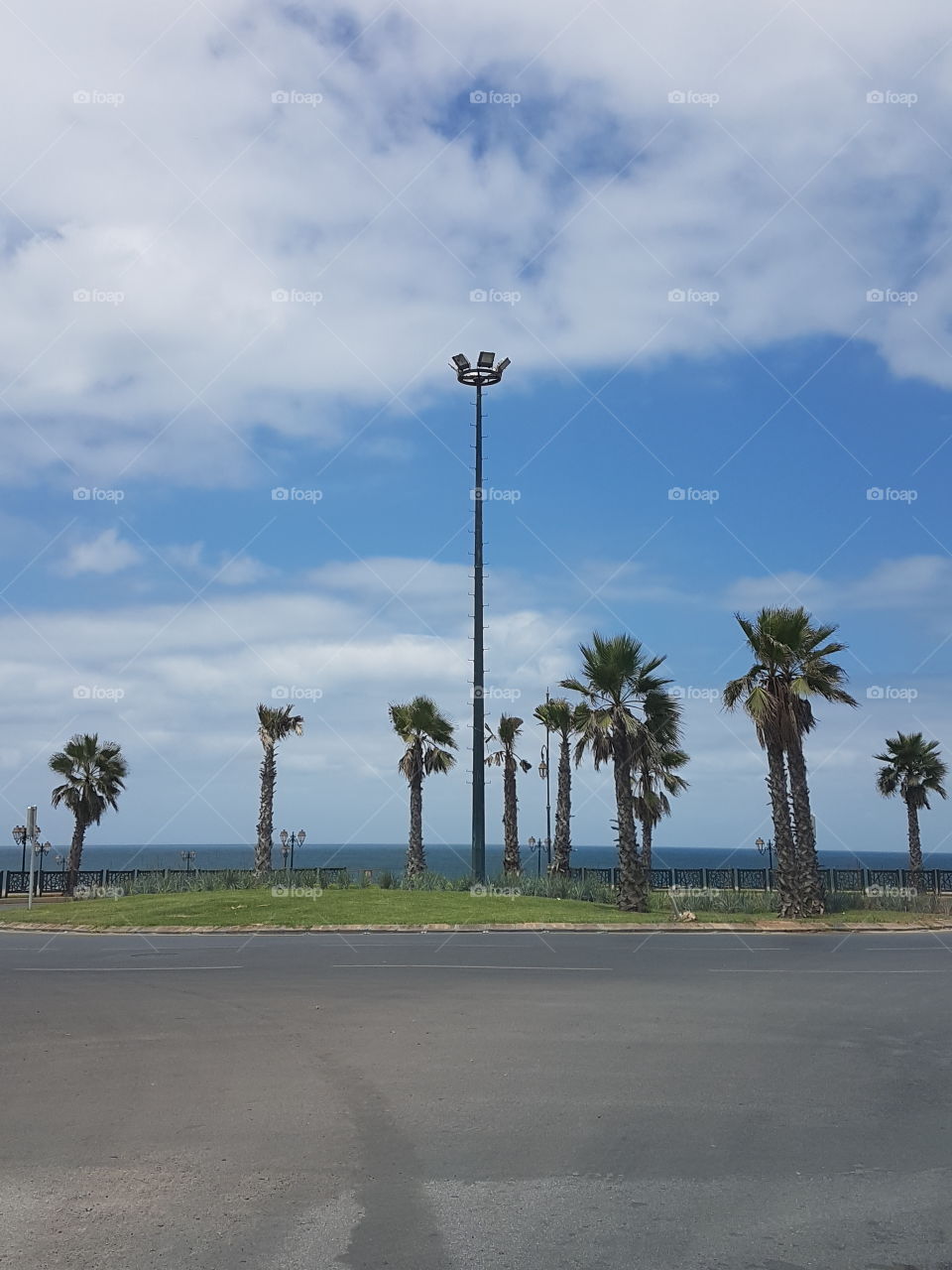 beach palmers pill summer