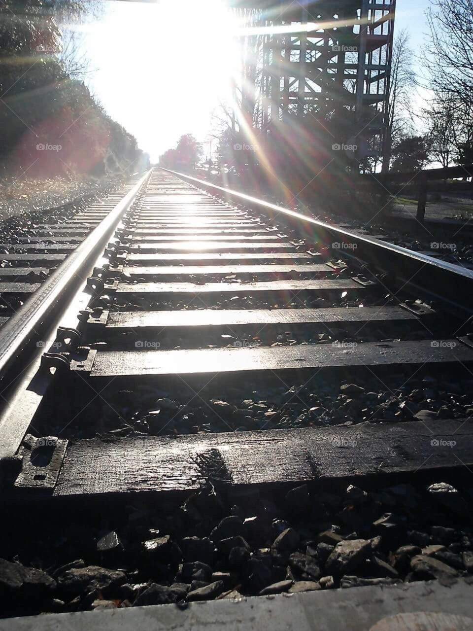 among the tracks we wander