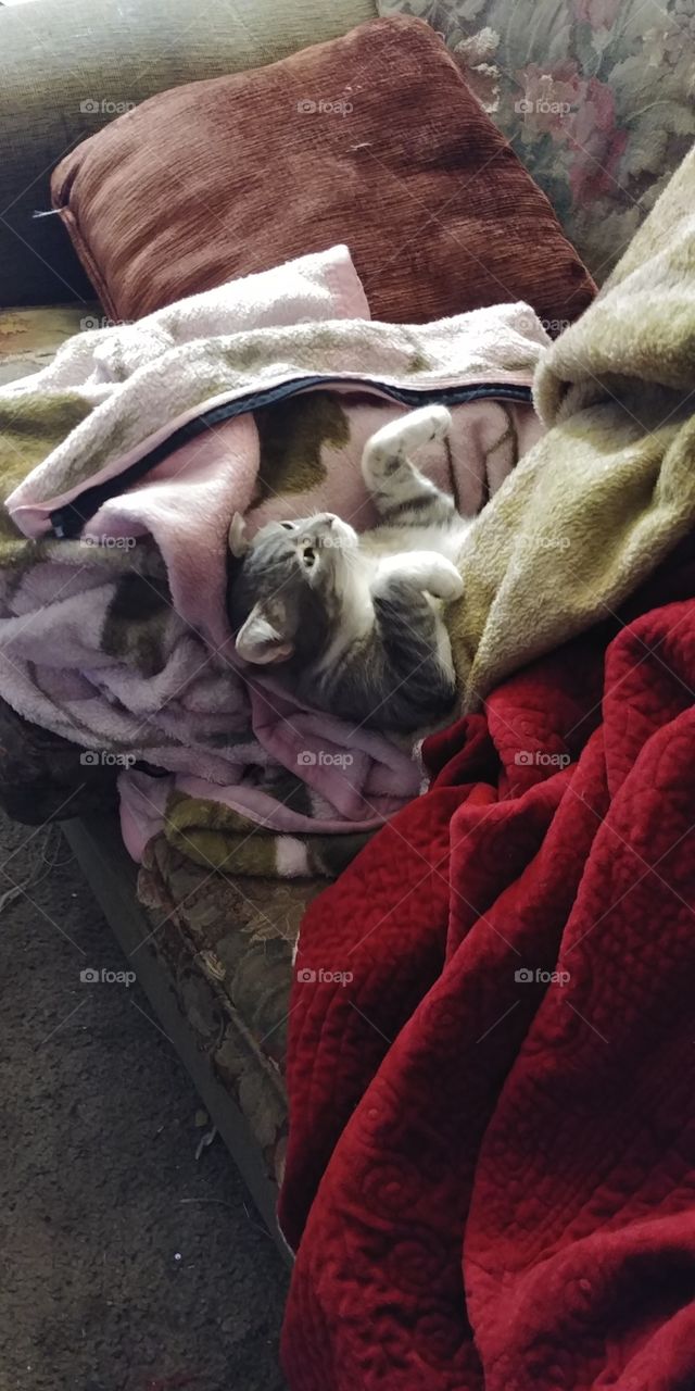 Princess in blankets 2