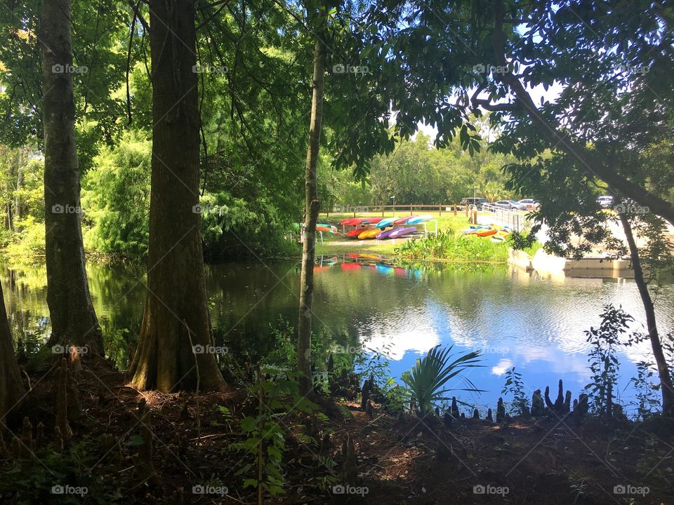 Canoe in the woods