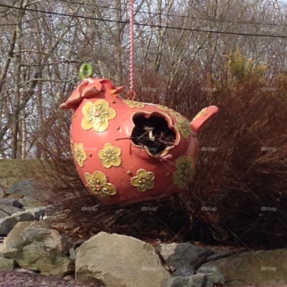 Bird house with baby birds