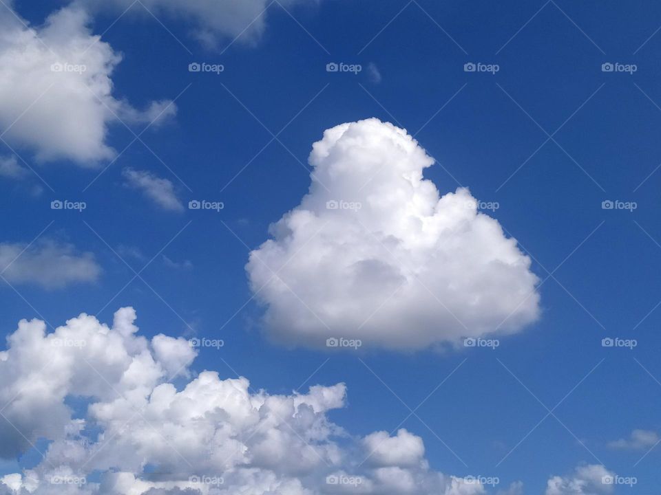 "If you use your imagination, you can see lots of things in the cloud formations."

- Charles M. Schulz