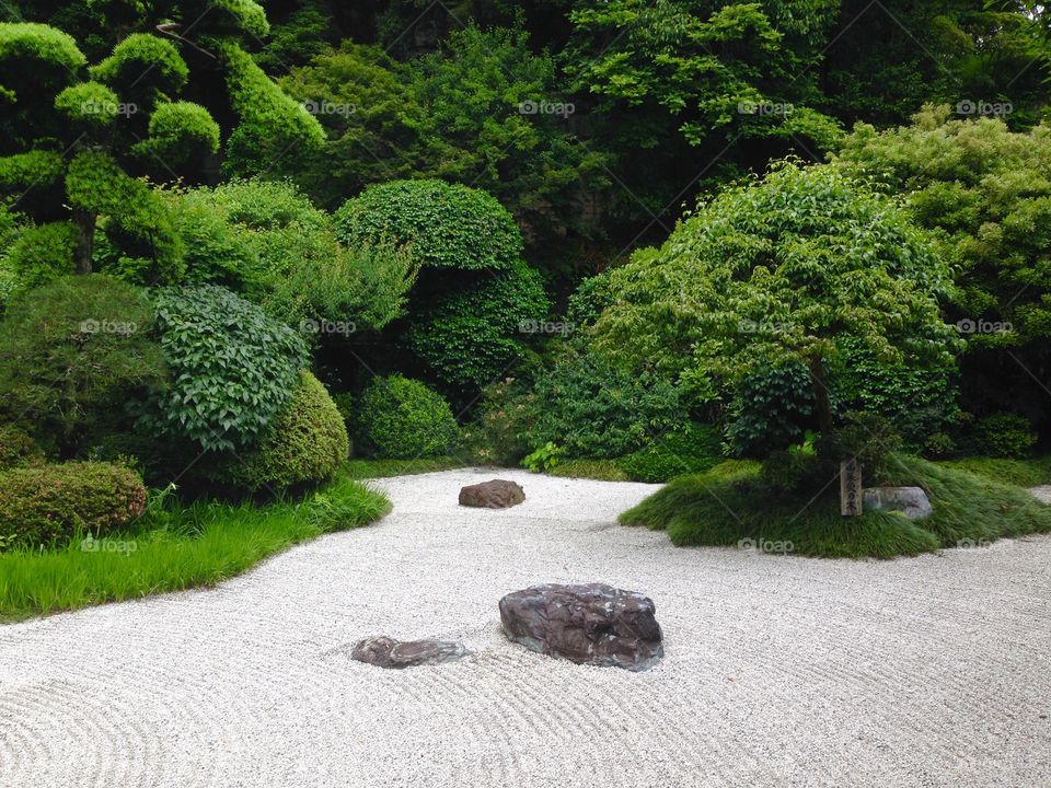 The Beautiful Rock Garden in Japan 