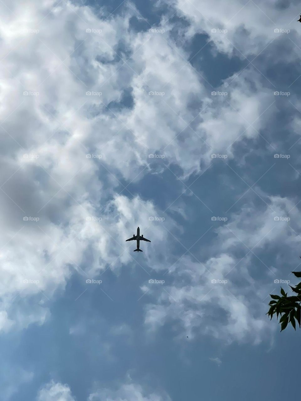 A plane on the sky