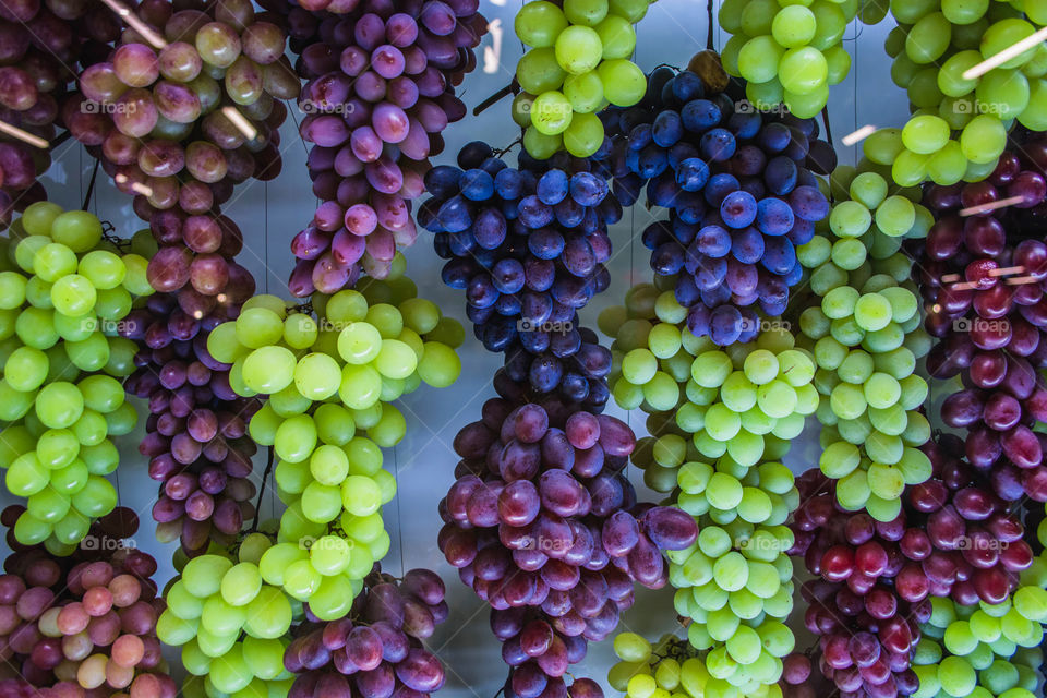 Colorful grapes