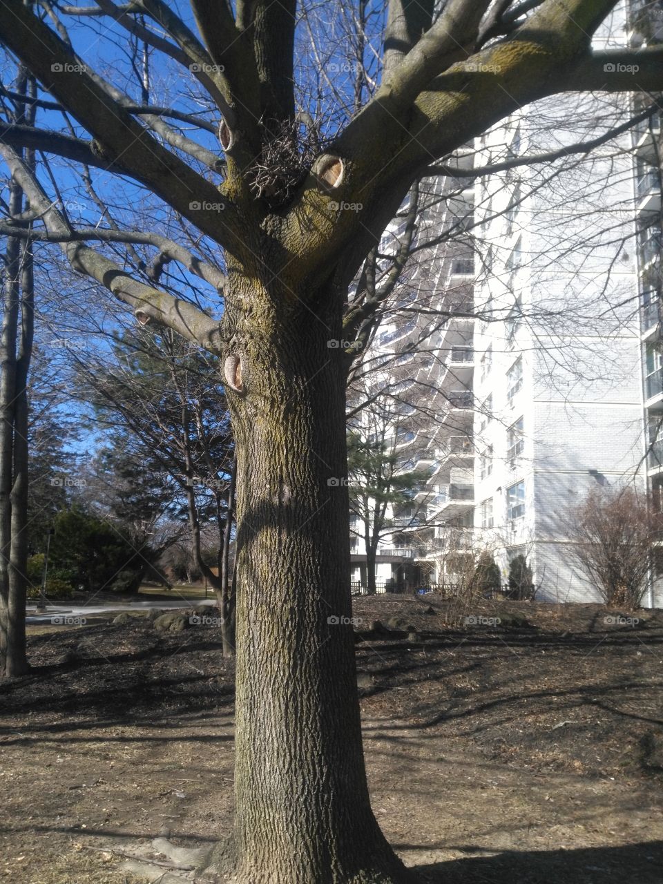 walk could continued