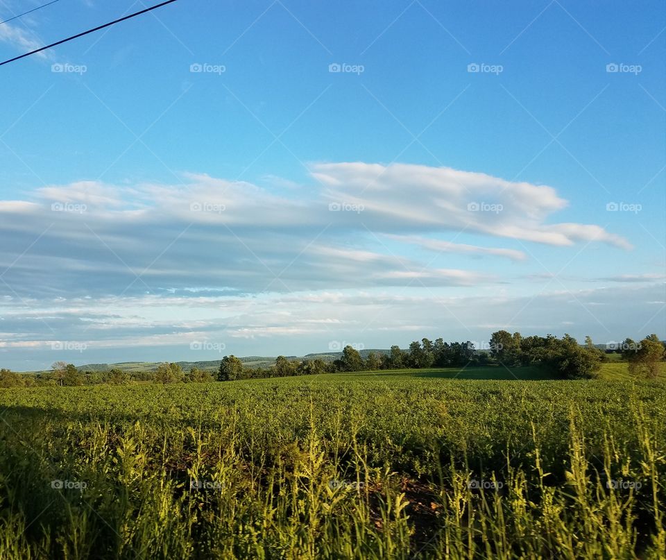 Landscape, Agriculture, Sky, Field, Farm