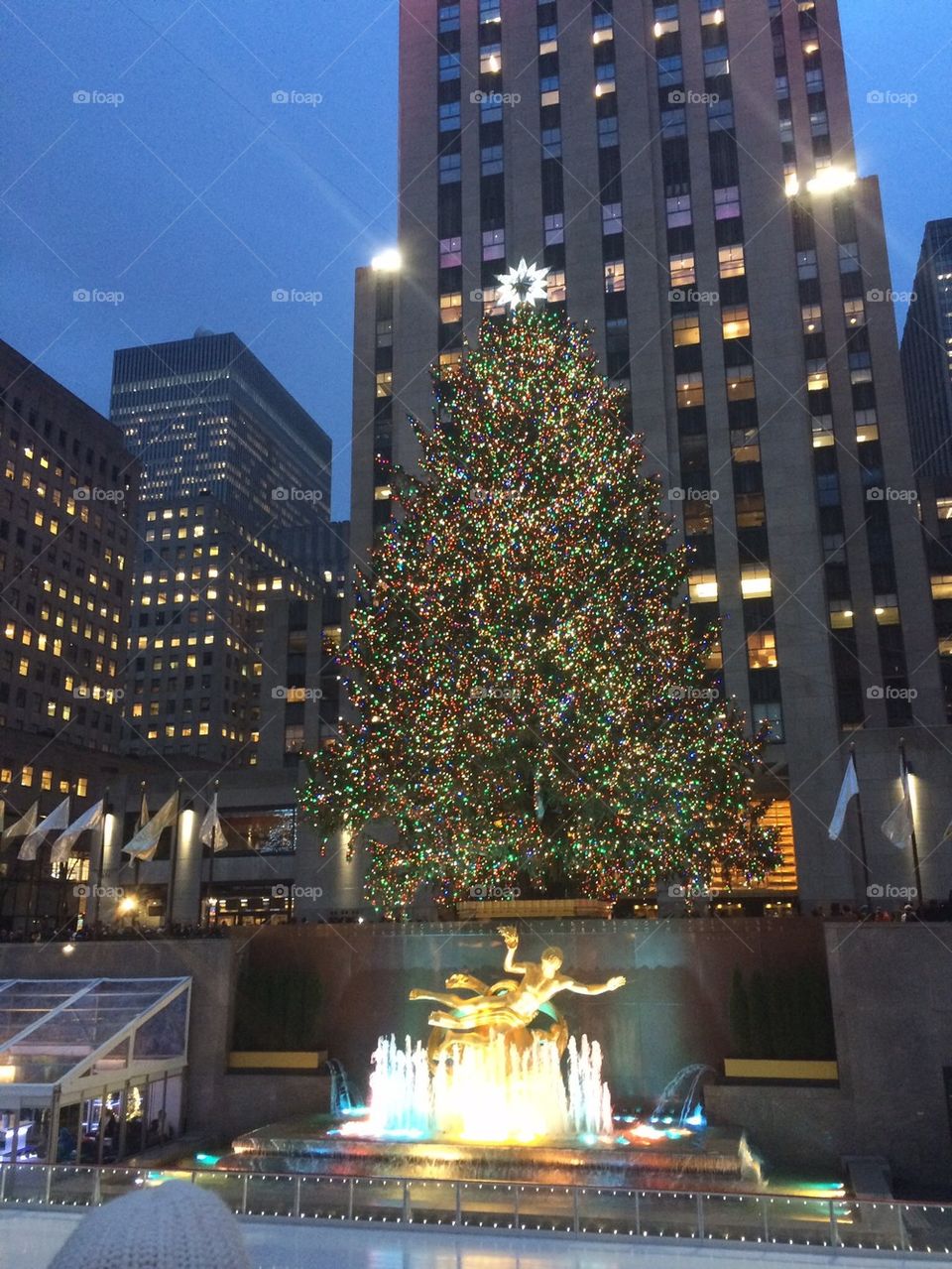 2014 New York Rockefeller Center Christmas Tree