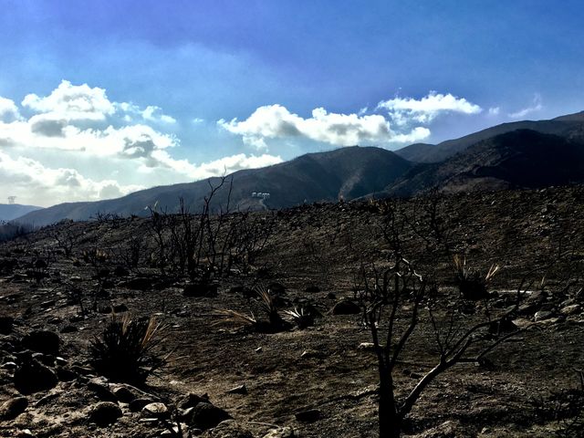 Fire Remains 