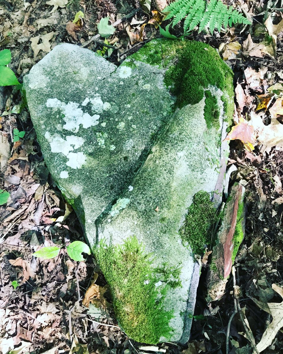 Unique heart-shaped rock found in the forest. 