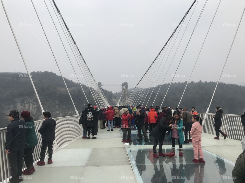 glass bridge