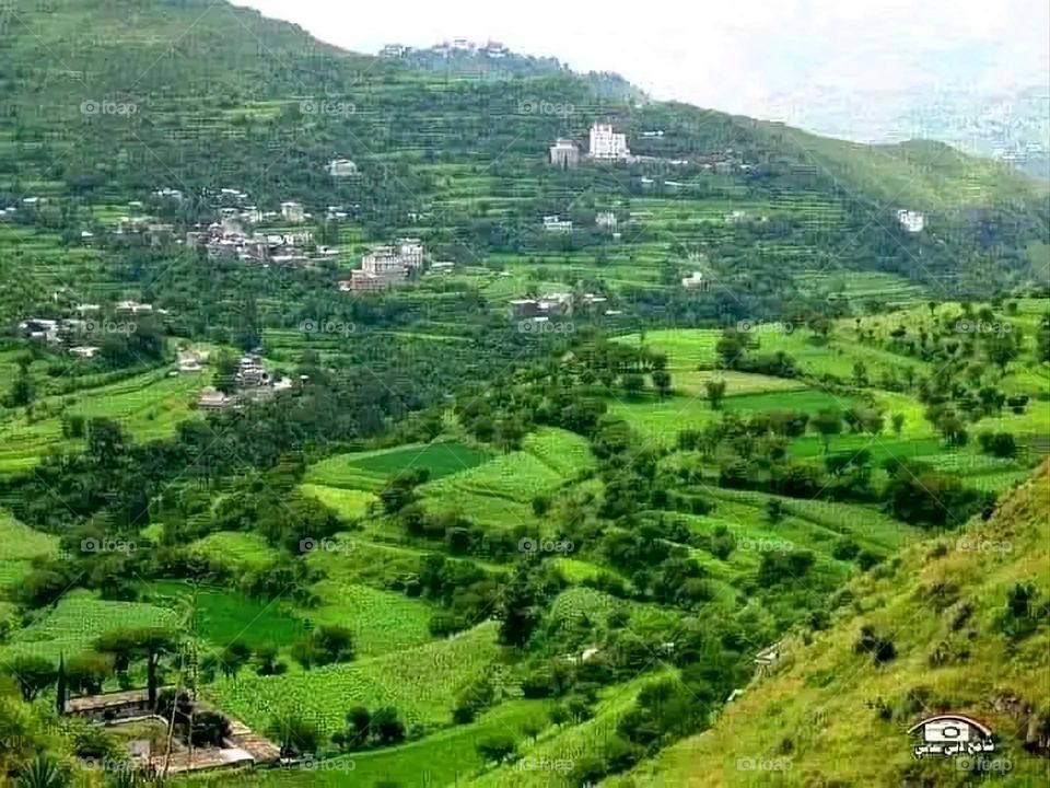 A stunning view of green mountains covered in fog in Yemen