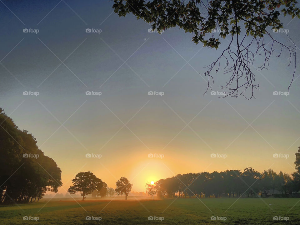 Early morning Countryside landscape ⠀