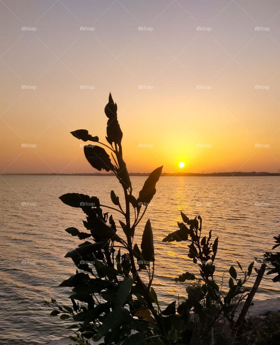 Sunset over the river 🌅