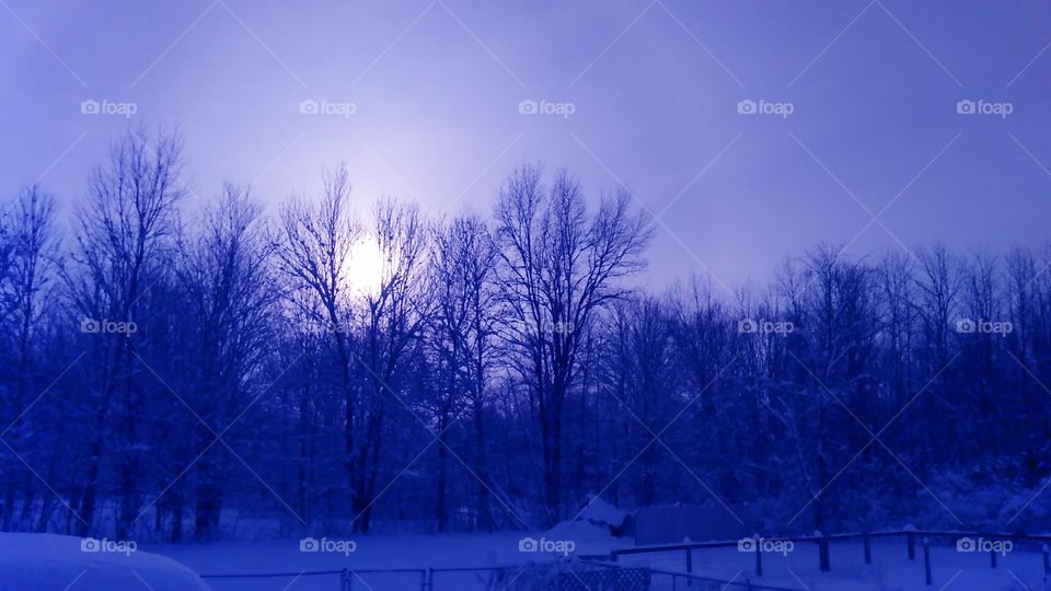 Winter Dawn