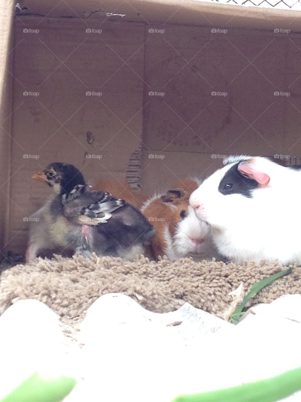 Together is much better 