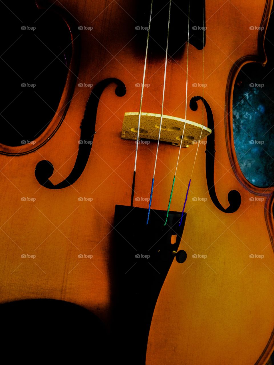 Violin