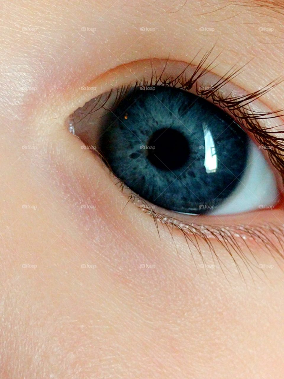 Close-up of baby Blue eyes