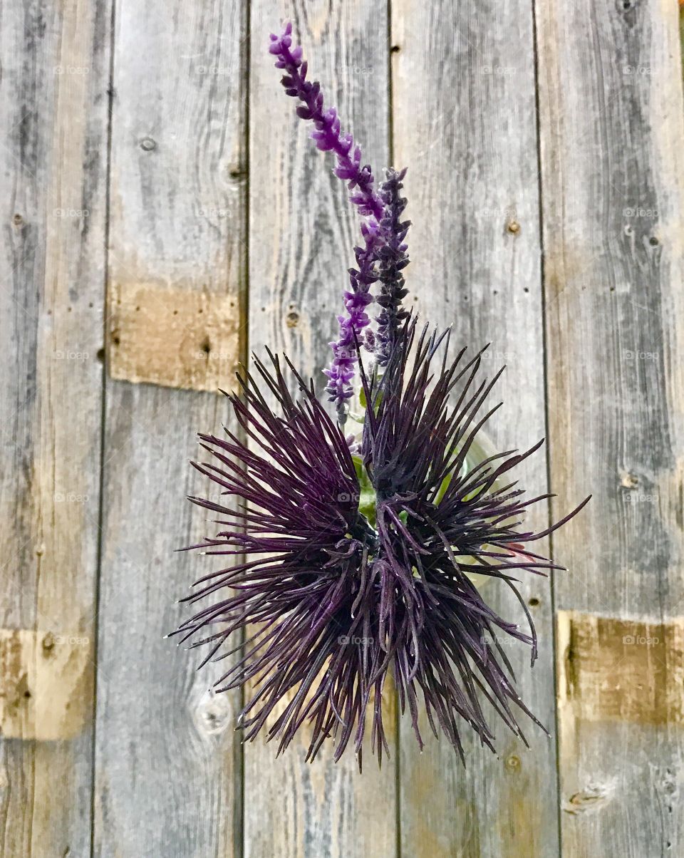 Purple flower plant on table